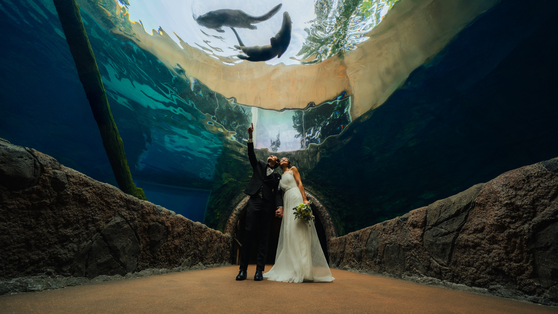 Wedding photo shoot at Otter Tunnel, River Wonders. 